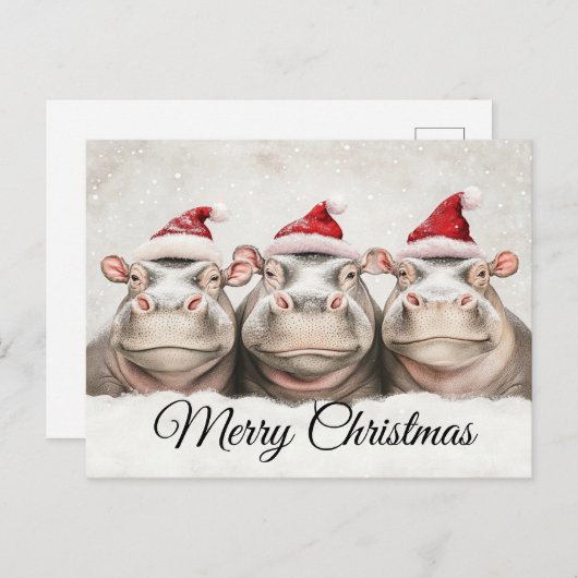 かわいいカバ三匹 シーズンポストカード (正面/裏面)