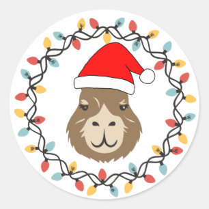 かわいいカピバラのクリスマスイルミネーション ラウンドシール
