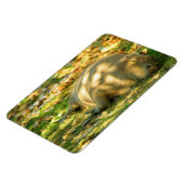 かわいいカピバラの夢を夏の日に マグネット (左側)