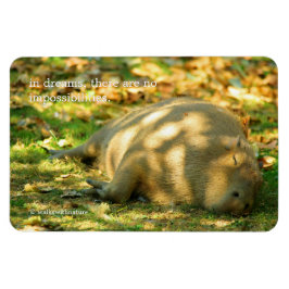 かわいいカピバラの夢を夏の日に マグネット