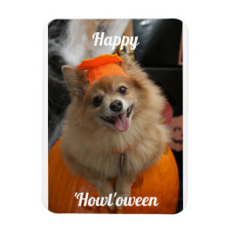 かわいいカボチャ犬フォトマグネット マグネット