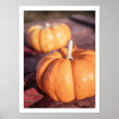 かわいいカボチャ秋写真の暖かい農家の装飾 ポスター (正面)