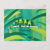 かわいいカメレオンのポストカードの挨拶やテキスト ポストカード (正面)