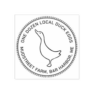 かわいいカモの卵のカートンスタンプ ラバースタンプ