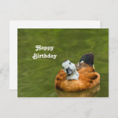 かわいいカラフルなダックの写真の誕生日 ポストカード (正面/裏面)