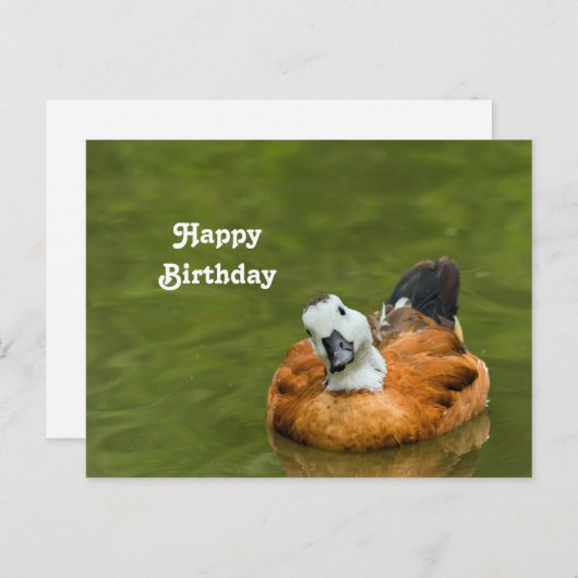 かわいいカラフルなダックの写真の誕生日 ポストカード (正面/裏面)