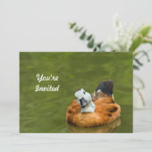 かわいいカラフルアヒル写真誕生日 招待状 (スタンド正面)