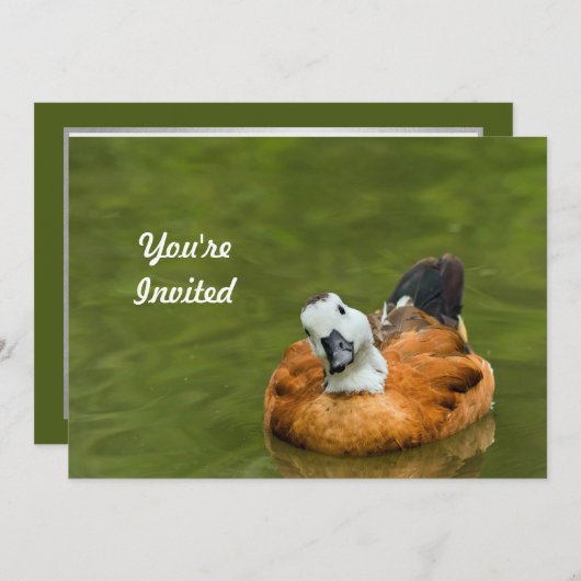 かわいいカラフルアヒル写真誕生日 招待状 (正面/裏面)