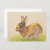 かわいいカラフルバニースケッチアート シーズンポストカード (正面/裏面)