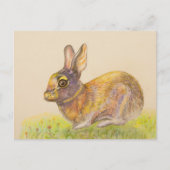 かわいいカラフルバニースケッチアート シーズンポストカード (正面)