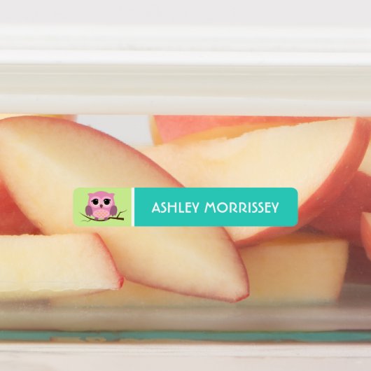 かわいいカラフルフクロウの子の名前ラベル ラベル (貼付)