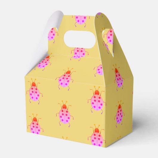 かわいいカラフルラディバグ，ラッキーチャーム フェイバーボックス (正面サイド)