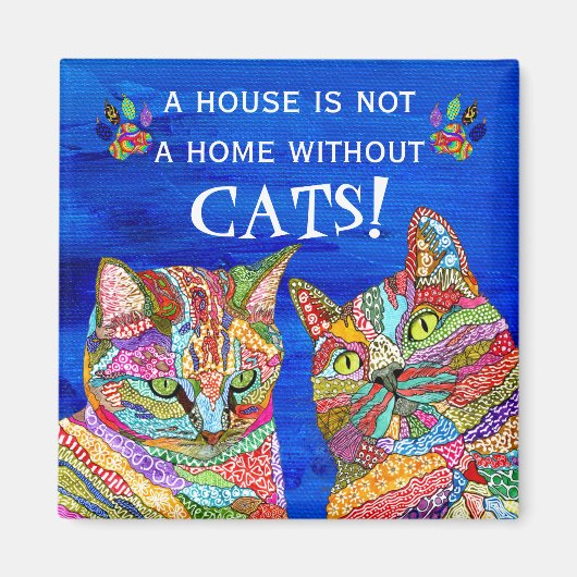 かわいいカラフル猫Aハウスはホームマグネットではない マグネット (正面)