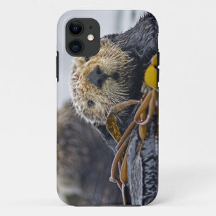 かわいいカリフォルニアラッコのEnhydraのlutris iPhone 11 ケース