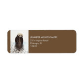 かわいいカワウソの野生動物の画像 ラベル (正面)