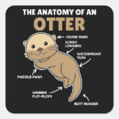 かわいいカワウソ説明カワウソの解剖学 スクエアシール (正面)