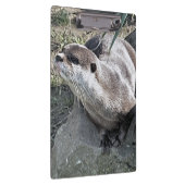 かわいいカワウソ クリップボード (右)