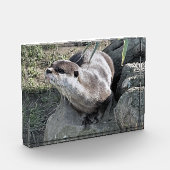 かわいいカワウソ フォトブロック (左)