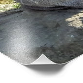 かわいいカワウソ フォトプリント            (角)