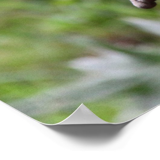 かわいいカワウソ ポスター (角)