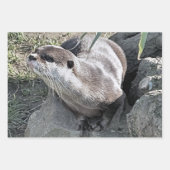 かわいいカワウソ ラッピングペーパーシート (正面3)