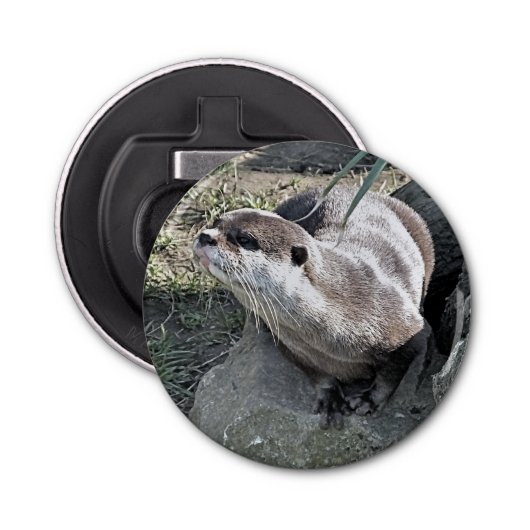 かわいいカワウソ 栓抜き (正面)