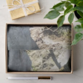 かわいいカワウソ 薄葉紙 (ギフト)