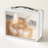 かわいいカーリーネームの猫の写真 メタルランチボックス (裏面)