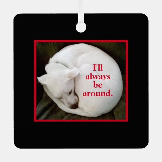 かわいいカール白い子犬のバレンタインデー赤 メタルオーナメント (正面)