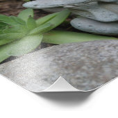 かわいいガーデンカエル多肉園8x10 フォトプリント            (角)