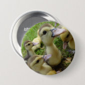 かわいいキッズダックリングベビーダック春ファームアニマルズ 缶バッジ (正面&裏面)