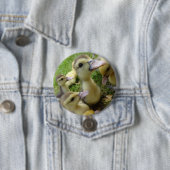 かわいいキッズダックリングベビーダック春ファームアニマルズ 缶バッジ (インサイチュ)