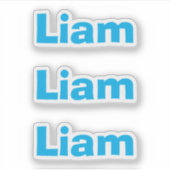 かわいいキッズブルーおもしろい名シール シール (正面)