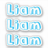 かわいいキッズブルー名ステッカー シール (正面)