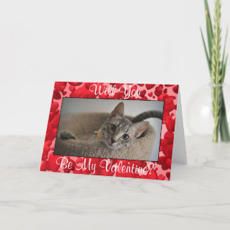 かわいいキットンバレンタインデーのカード（アニマルレスキュー） シーズンカード