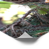 かわいいキットンフォトバリューポスター紙（マット） ポスター (角)