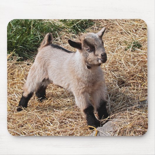 かわいいキッドマウスマット マウスパッド (正面)