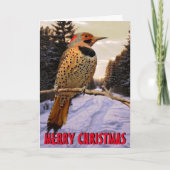 かわいいキツツキのクリスマスカード シーズンカード (正面)