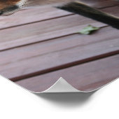 かわいいキツネフォトことわざ ポスター (角)