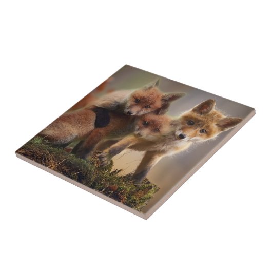 かわいいキツネ家族 タイル (側面)
