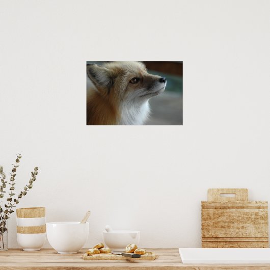 かわいいキツネ顔 ポスター (キッチン)