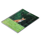 かわいいキツネ ノートブック (左側)