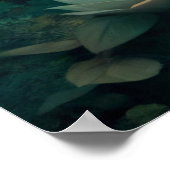 かわいいキツネ ポスター (角)