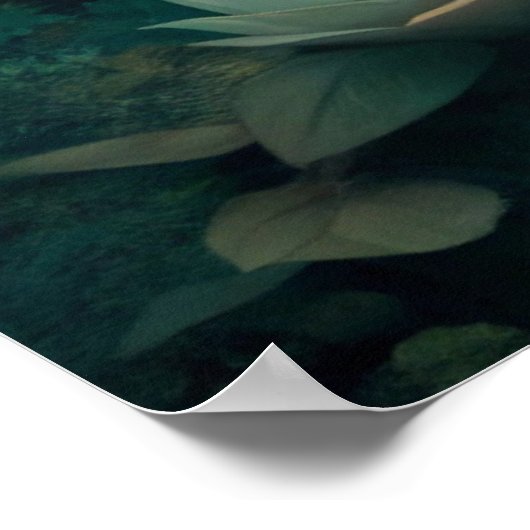 かわいいキツネ ポスター (角)