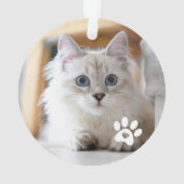 かわいいキティ猫の写真　ハッピーパウリデイズ オーナメント (裏面)