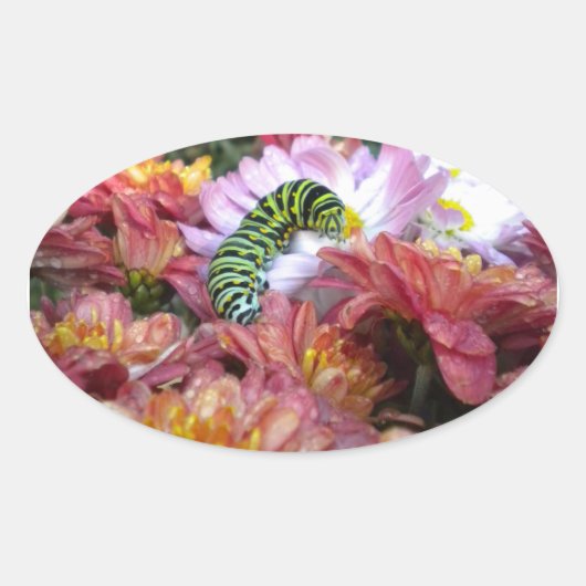 かわいいキャタピラーステッカー 楕円形シール (正面)