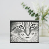 かわいいキャットアート現実主義鉛筆スケッチ ポストカード (スタンド正面)