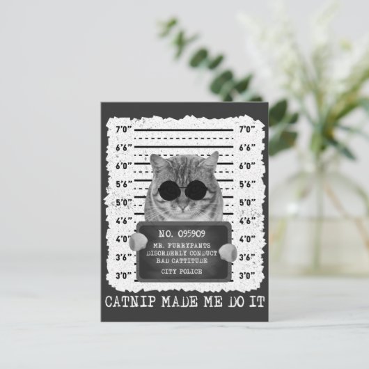 かわいいキャットニップに誘われてやったにゃん マグショット ポストカード (スタンド正面)