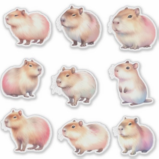 かわいいキャピバラのステッカー シール (正面)