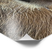 かわいいキャピバラ フォトプリント            (角)